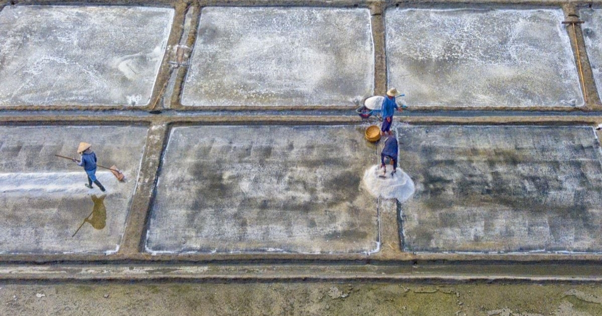 Cánh đồng muối Sa Huỳnh ở Quảng Ngãi: Hạt ngọc trắng và ký ức nghìn năm