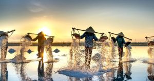 Cánh đồng muối Sa Huỳnh ở Quảng Ngãi: Hạt ngọc trắng và ký ức nghìn năm