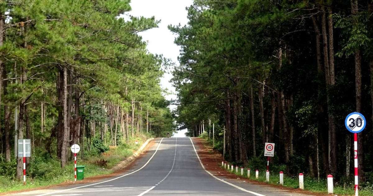 Du lịch Măng Đen ở Quảng Ngãi