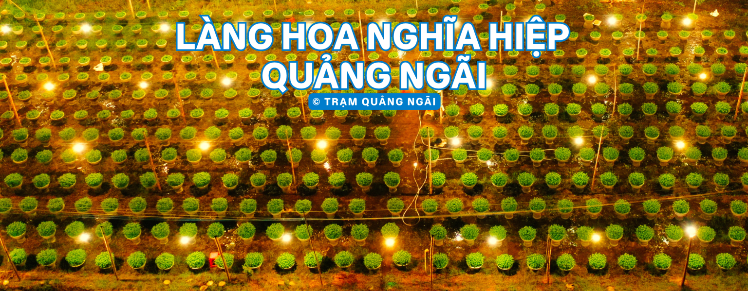 Làng hoa Nghĩa Hiệp Quảng Ngãi