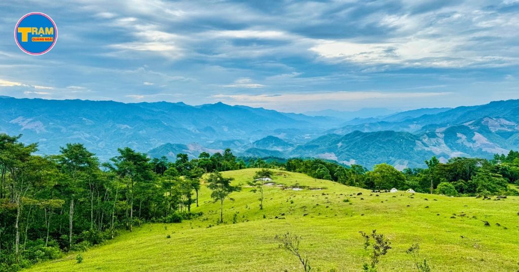 Thảo nguyên Wang Bô ở Quảng Ngãi